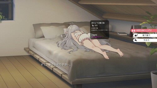 11-2.jpg