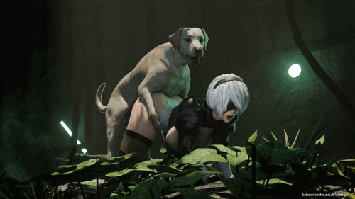1c365134e7c5aab06.gif